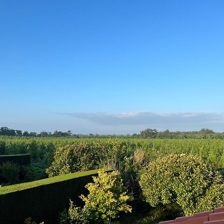 Jolie Maison De Vacances Avec Terrasse Et Jardin Saint-Julien-en-Born Exteriör bild