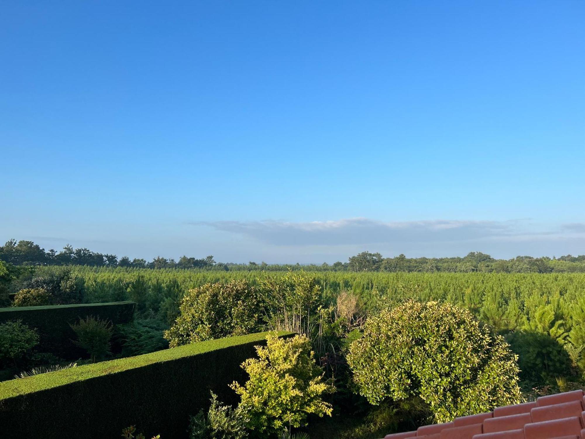Jolie Maison De Vacances Avec Terrasse Et Jardin Saint-Julien-en-Born Exteriör bild