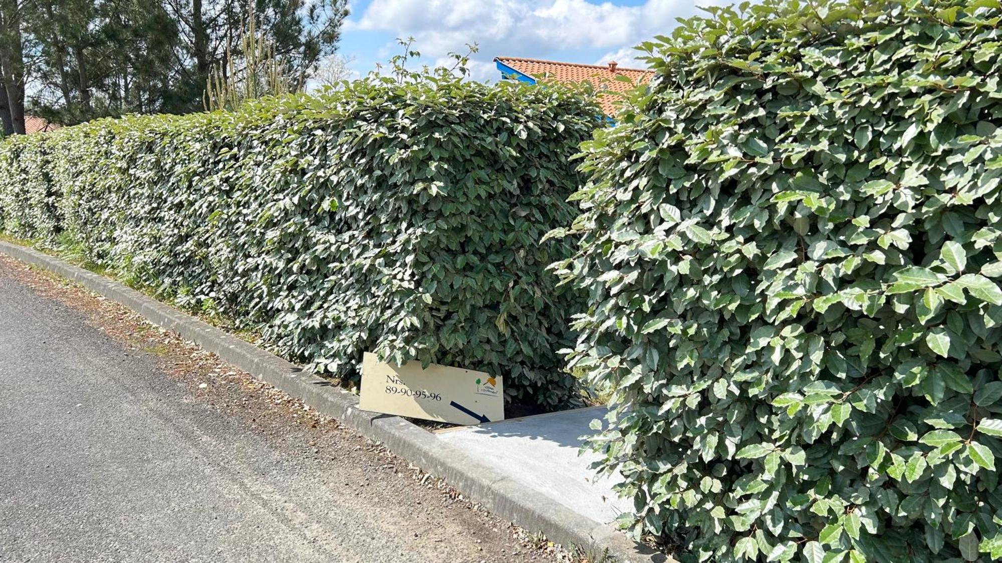 Jolie Maison De Vacances Avec Terrasse Et Jardin Saint-Julien-en-Born Exteriör bild