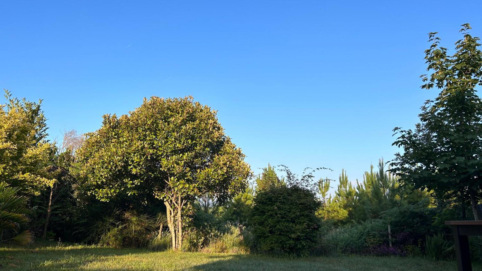 Jolie Maison De Vacances Avec Terrasse Et Jardin Saint-Julien-en-Born Exteriör bild